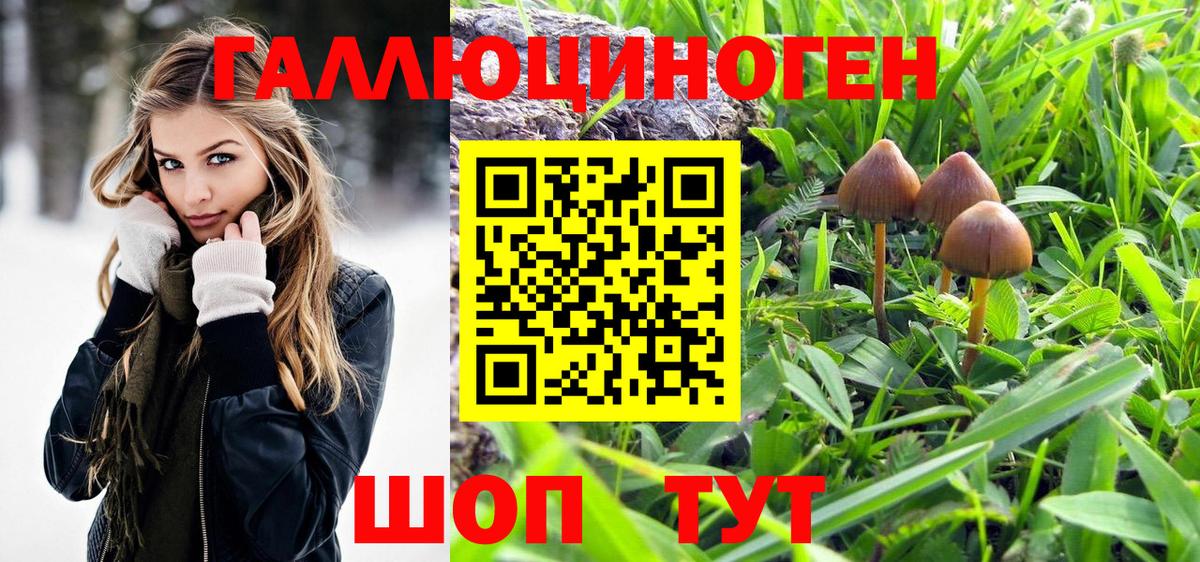 Cocaine  Канаш  НБОМе  Конопля  Экстази  МЕФ кристаллы  LSD-25  Героин  Вход с VPN 