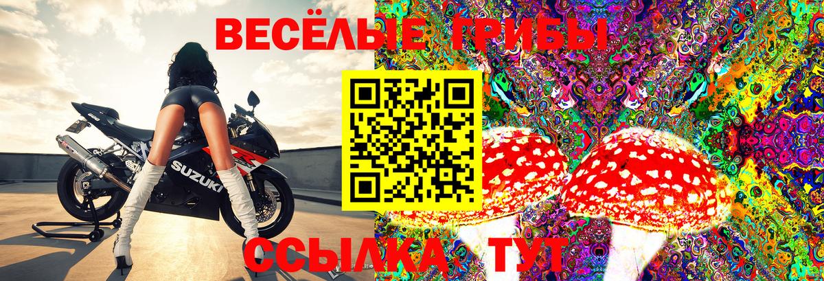 Псилоцибиновые грибы Magic Shrooms Канаш