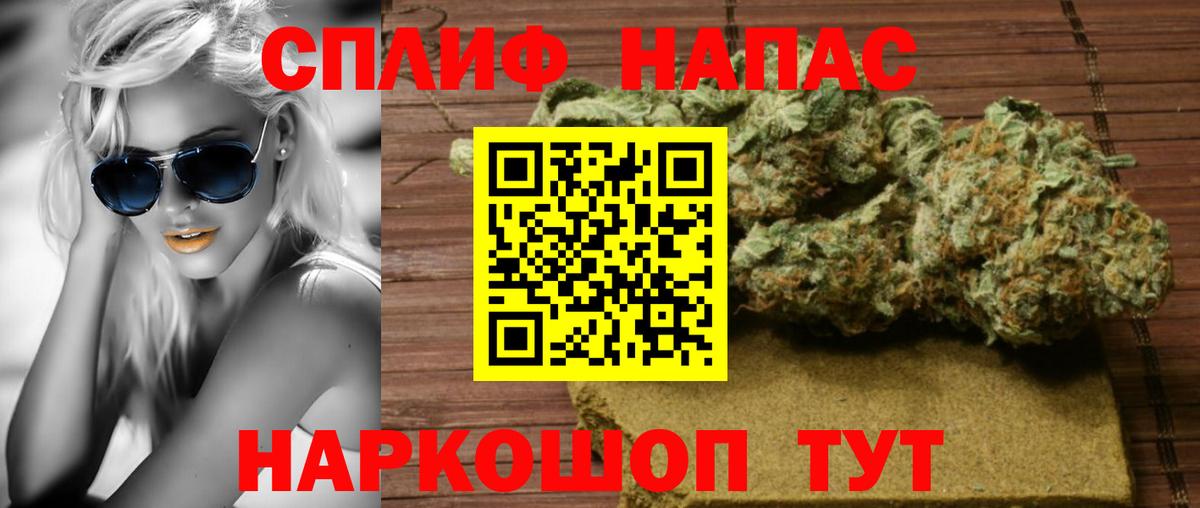 Бошки Шишки сатива Канаш